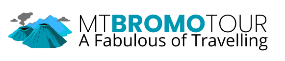 Mt Bromo Tour